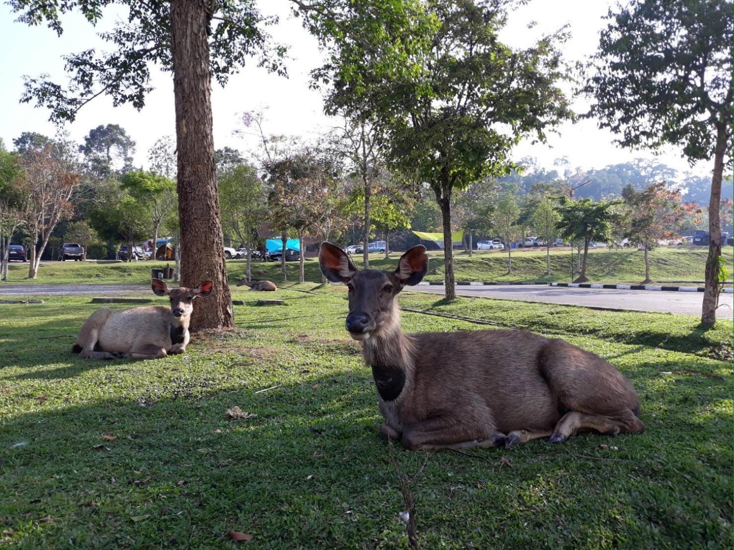 Annie Villa At Khao Yai Mu Si Exteriör bild